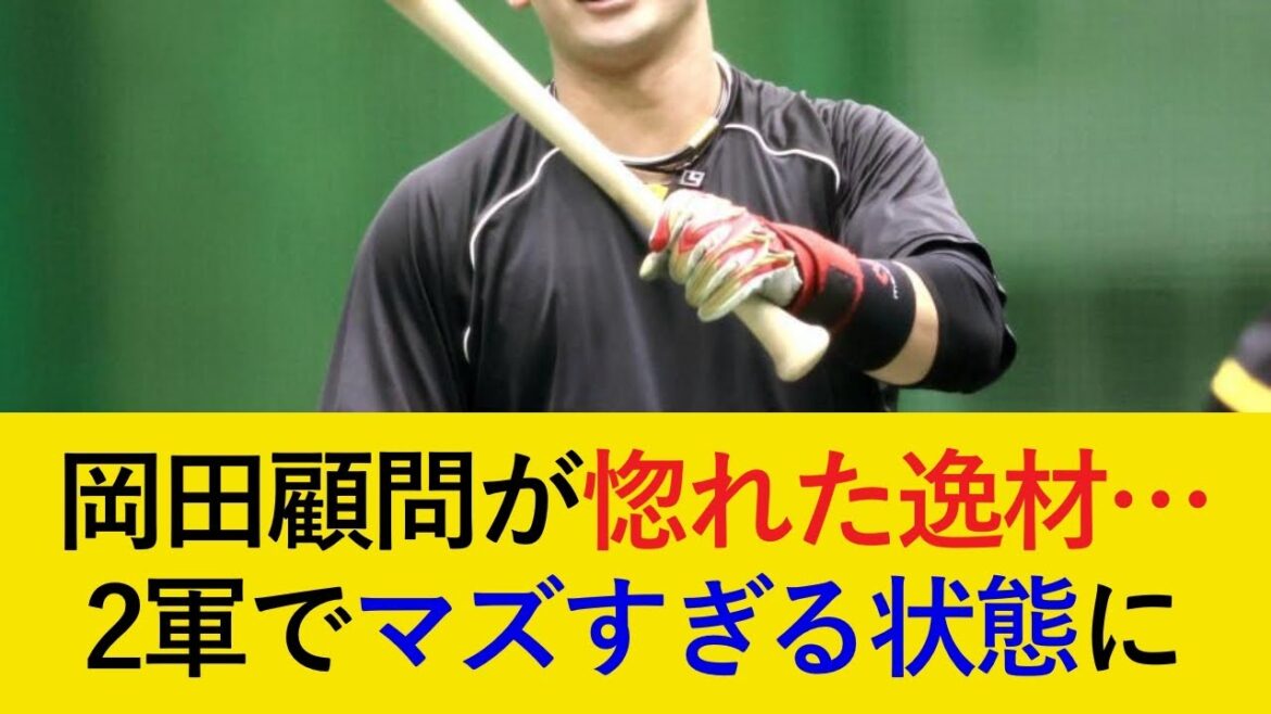 【岡田顧問がベタ惚れも...】二軍で無双していた有望株の厳しい現状が判明...【阪神タイガース】
