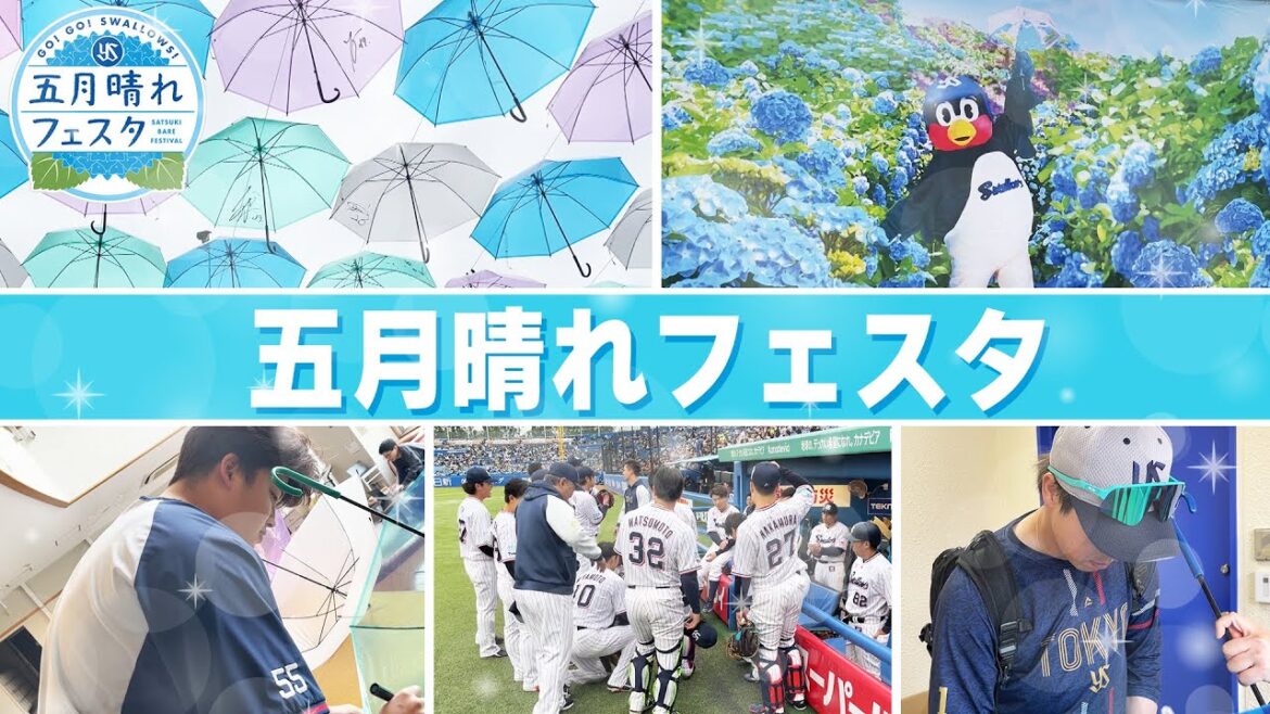 【五月晴れフェスタ】ダイジェストをお届け！つばみが〇〇成功！？2025年5月27日〜29日東京ヤクルトスワローズ