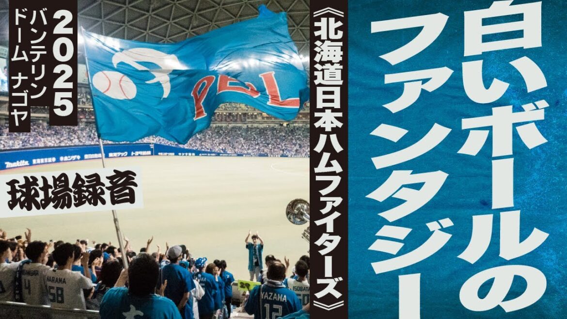 高音質🎺白いボールのファンタジー《北海道日本ハムファイターズ》2025バンテリン
