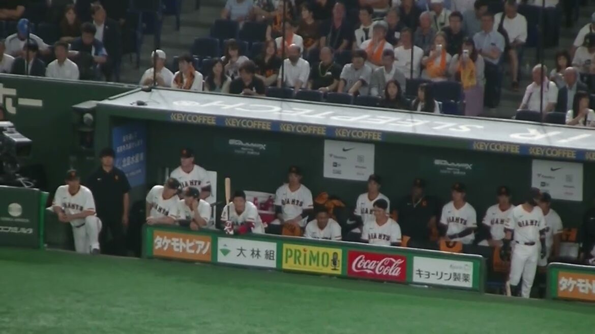 坂本勇人を前のめりで見る巨人ベンチ増田陸（読売ジャイアンツ対 西武ライオンズ 2025年6月20日）