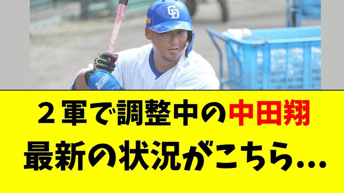 【中日】２軍調整中・中田翔の最新の状況がこちら・・・