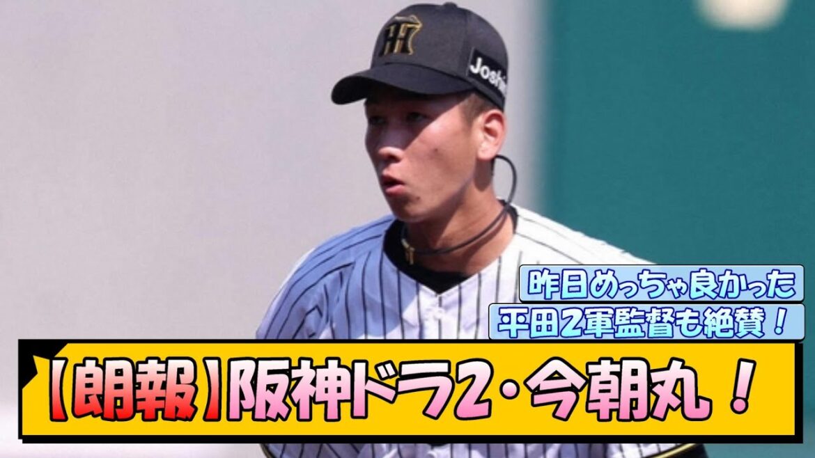 【朗報】阪神ドラ2・今朝丸…! 【朗報】阪神ドラ2・今朝丸…!