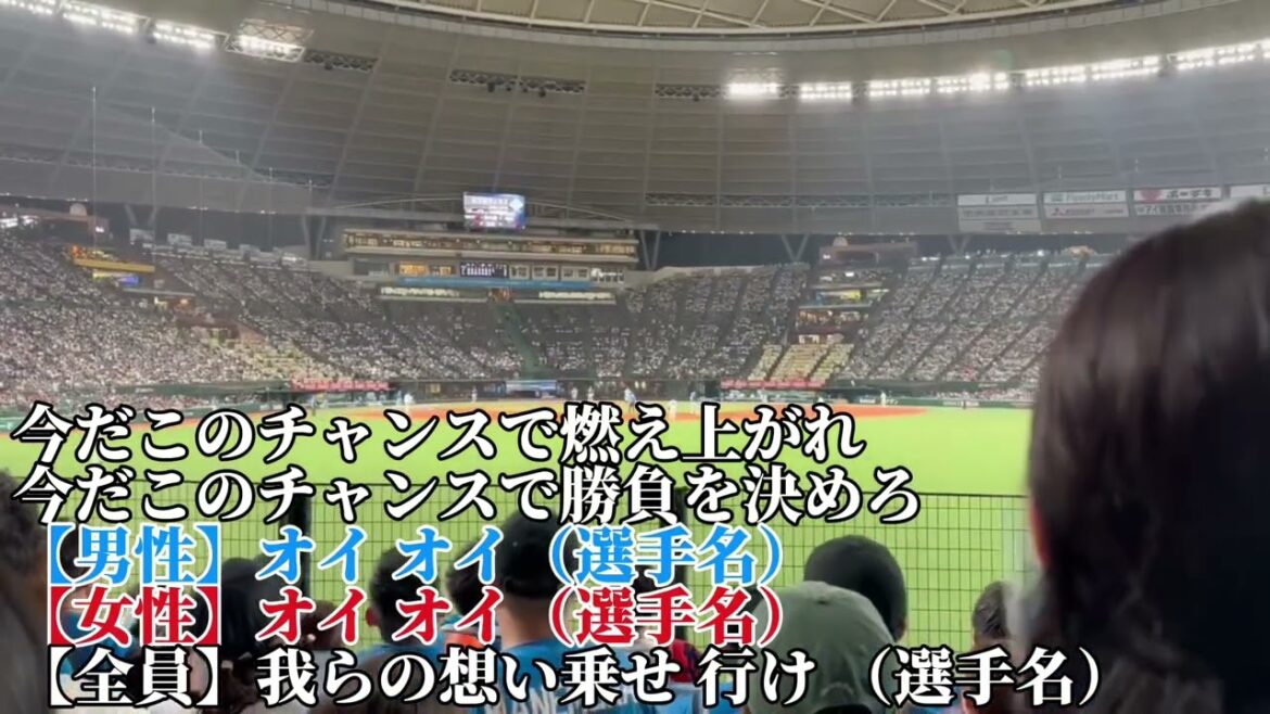 【北海道日本ハム】酔いどれマーチ2025/6/28/埼玉西武ライオンズ戦 【北海道日本ハム】酔いどれマーチ2025/6/28/埼玉西武ライオンズ戦