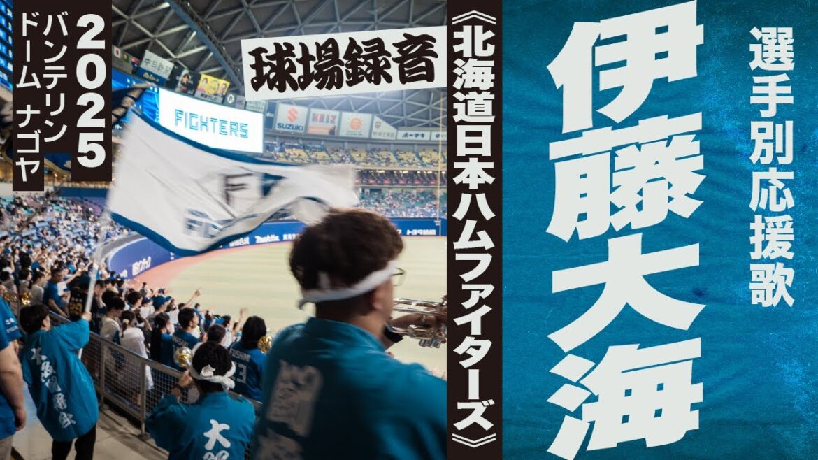 高音質🎺伊藤大海 選手応援歌《北海道日本ハムファイターズ》2025バンテリン