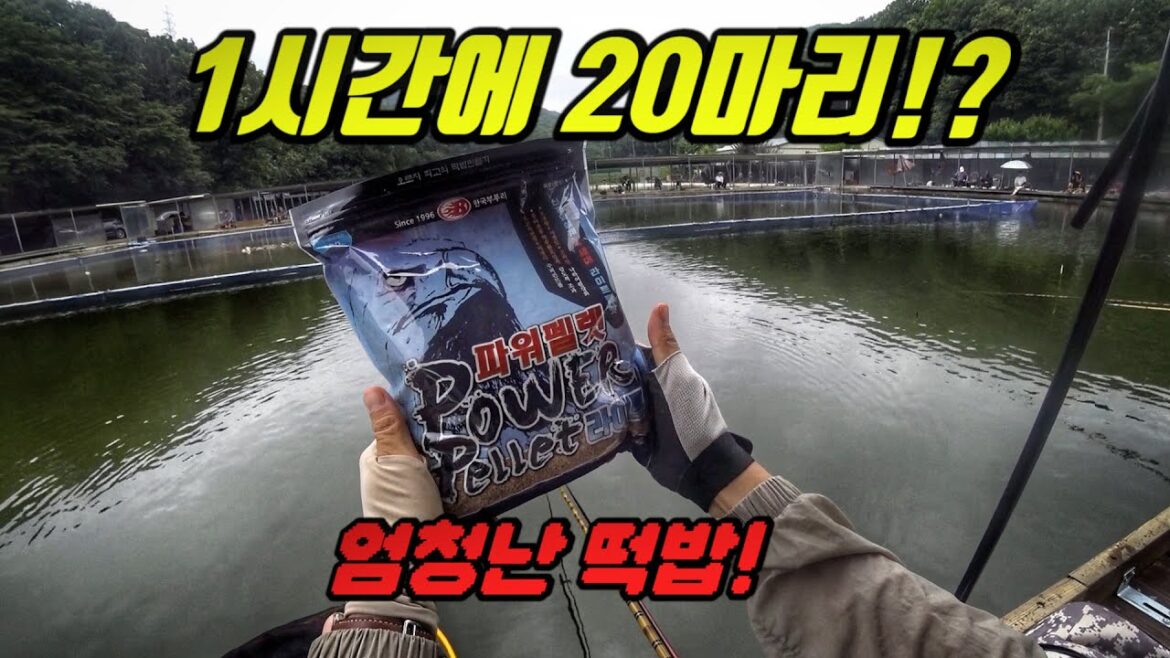 미쳤다! 어분 하나만 써서 1시간에 20마리!? 미쳤다! 어분 하나만 써서 1시간에 20마리!?