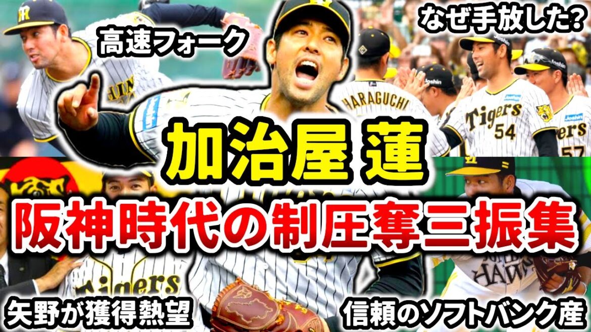 【なぜ手放した】加治屋蓮 阪神時代の奪三振集!! 三振を奪えるベテランの中継ぎ右腕!! 【なぜ手放した】加治屋蓮 阪神時代の奪三振集!! 三振を奪えるベテランの中継ぎ右腕!!