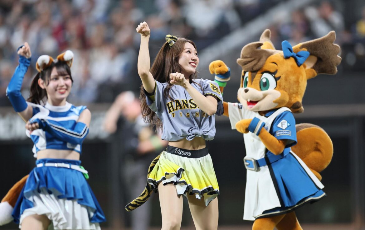 「可愛すぎるな…」夢のチア共演にネット沸く 日本ハム＆阪神チアがきつねダンスでファン盛り上げる（デイリースポーツ） - Yahoo!ニュース - Yahoo!ニュース