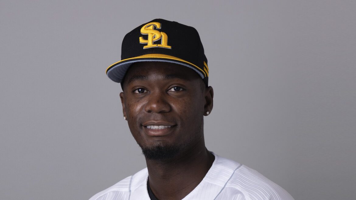 【ソフトバンク交流戦 6/6注目】勝てばAクラス復帰も 先発はチーム最多5勝のモイネロ＆打線も復調（RKB毎日放送） - Yahoo!ニュース - Yahoo!ニュース