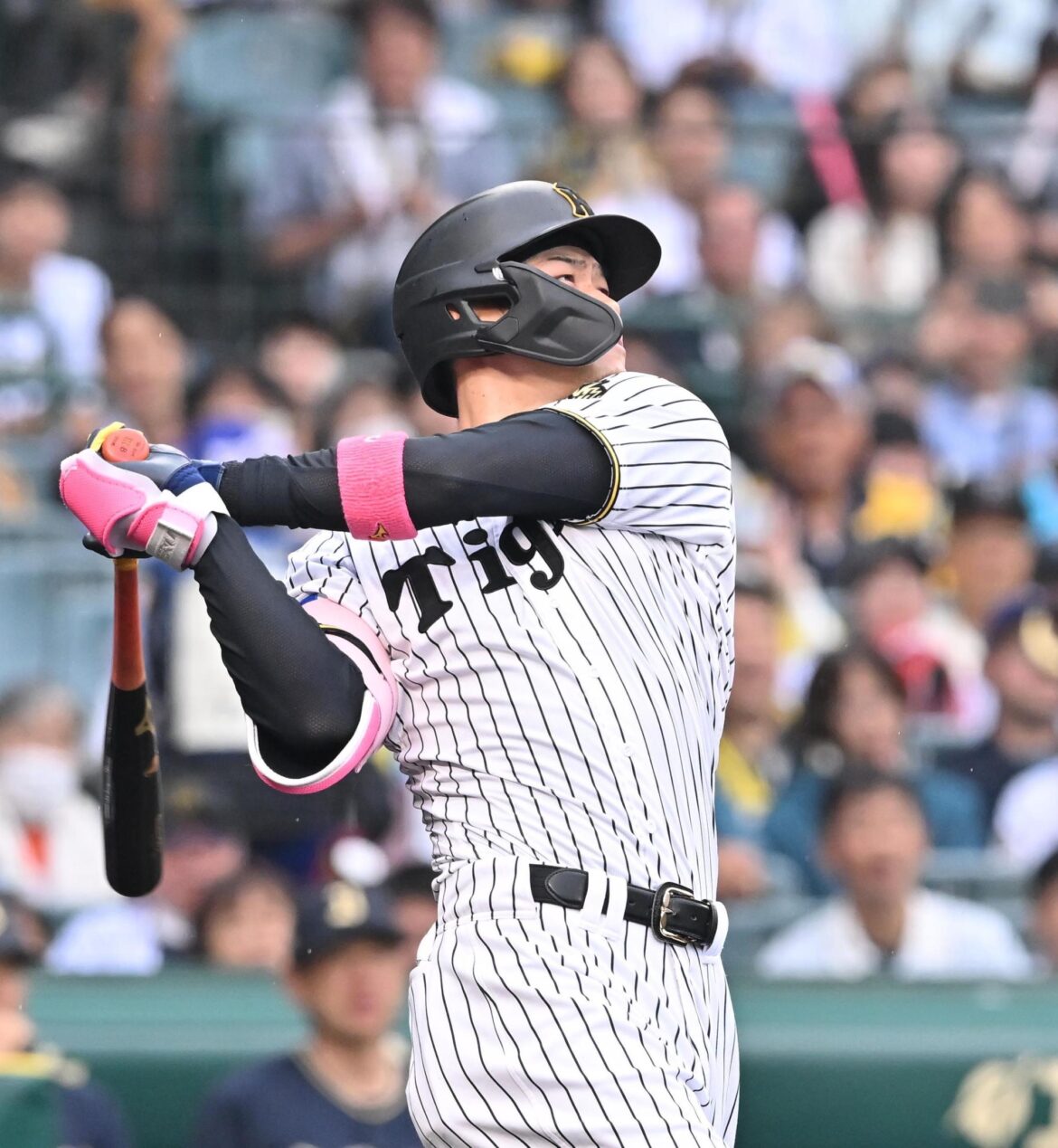 阪神 佐藤輝明がキング独走の17号グランドスラム!打席から動かない確信の一撃 ダメ押しの一撃(デイリースポーツ) – Yahoo!ニュース – Yahoo!ニュース 阪神 佐藤輝明がキング独走の17号グランドスラム!打席から動かない確信の一撃 ダメ押しの一撃(デイリースポーツ) - Yahoo!ニュース - Yahoo!ニュース