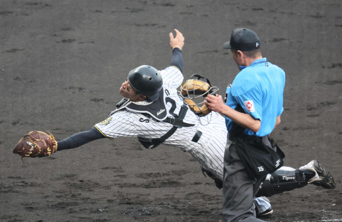 【阪神】坂本誠志郎が存在感「守って粘って」関西ダービー3連勝導く「おまけ」マルチ&好リード(日刊スポーツ) – Yahoo!ニュース – Yahoo!ニュース 【阪神】坂本誠志郎が存在感「守って粘って」関西ダービー3連勝導く「おまけ」マルチ&好リード(日刊スポーツ) - Yahoo!ニュース - Yahoo!ニュース
