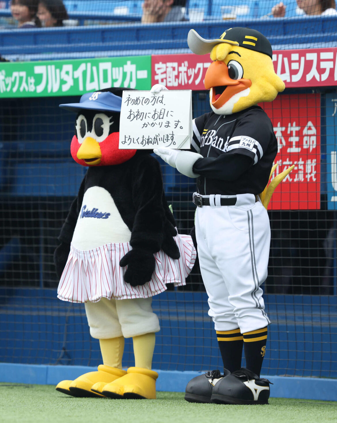 【ヤクルト】SBハリーホーク、つば九郎に隠れメッセージ 頭文字を合わせると…「えみフル」 – プロ野球写真ニュース – nikkansports.com ヤクルト対ソフトバンク 試合前、フリップ芸を披露するハリーホーク(右)とつばみ(撮影・河田真司)