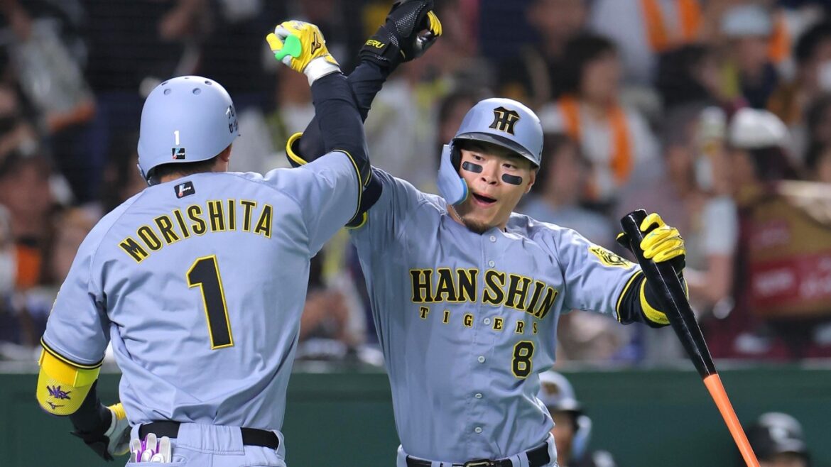 【交流戦プレビュー】セ首位の阪神は森下翔太と佐藤輝明が絶好調、パ首位の日本ハムはヤクルトと対戦、ほか｜セ・パ交流戦｜プロ野球（DAZN News） - Yahoo!ニュース - Yahoo!ニュース