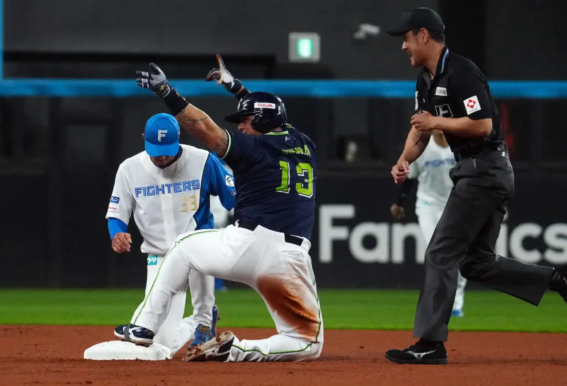 ヤクルト・オスナの“忍者”スライディングは2日連続で失敗…リクエスト要求も僅差 - スポニチ Sponichi Annex 野球