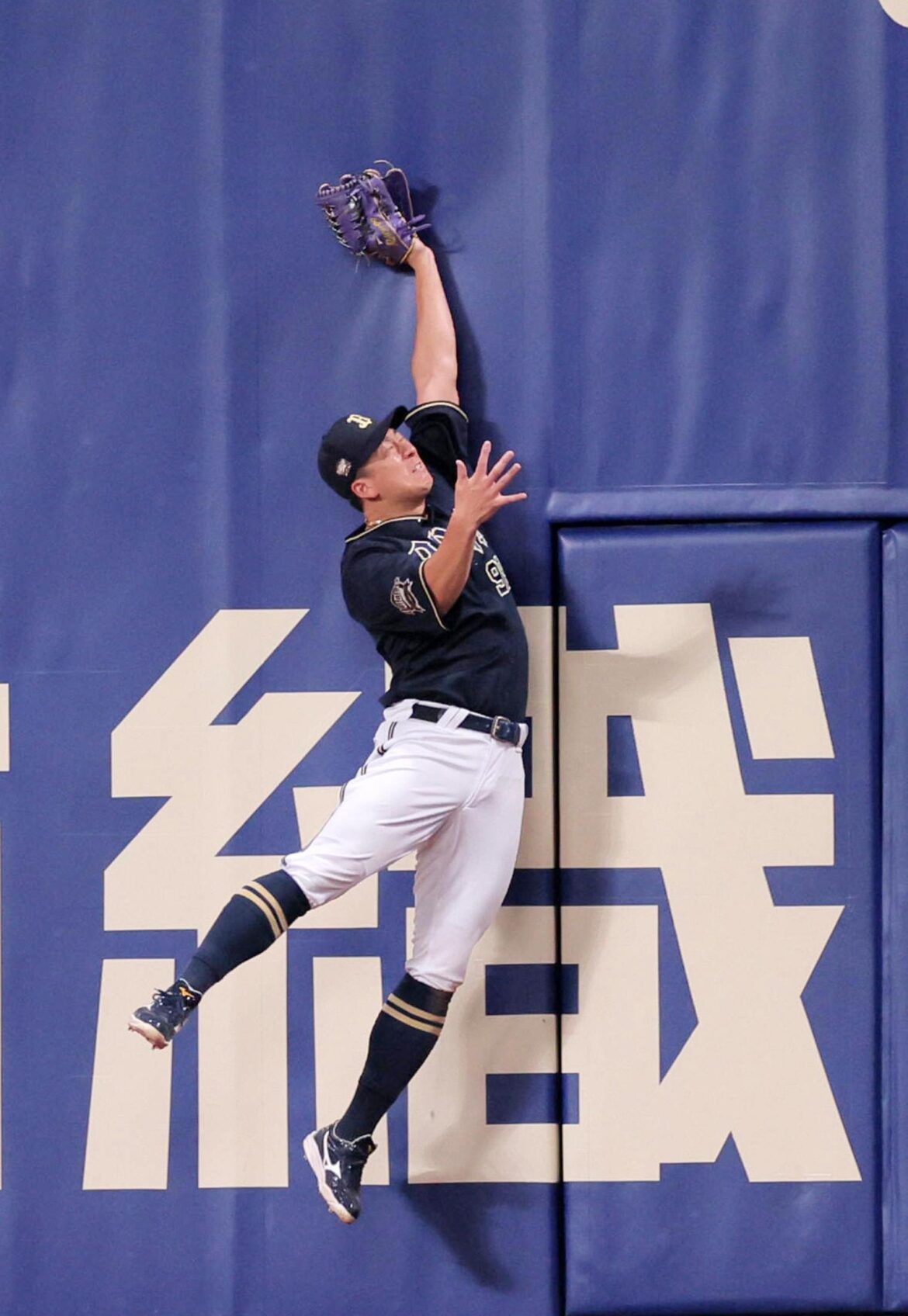 中日・井上監督 自軍のリクエスト成功後に審判員に説明を求める（デイリースポーツ） - Yahoo!ニュース - Yahoo!ニュース