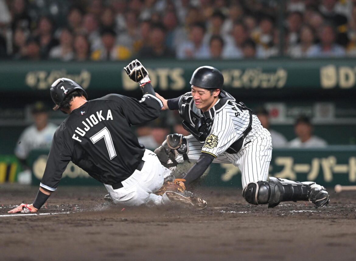 【解説】阪神守備陣が呼んだ大勝「タッチプレーで攻撃に流れ」評論家の視点（デイリースポーツ） - Yahoo!ニュース - Yahoo!ニュース