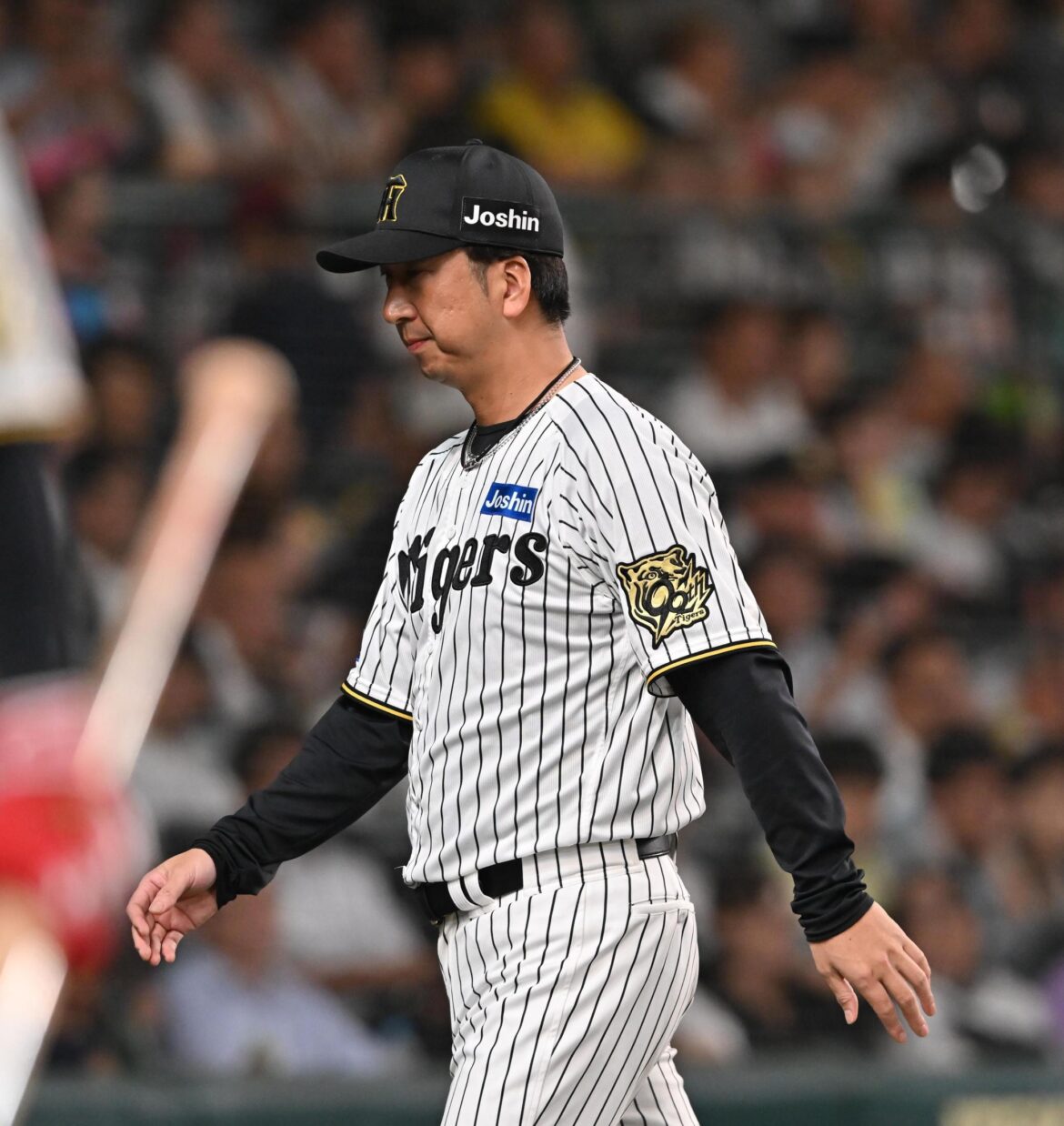 なぜ阪神・藤川監督は木浪聖也を２軍降格としたのか 新人指揮官のリスクマネジメントに迫る（デイリースポーツ） - Yahoo!ニュース - Yahoo!ニュース