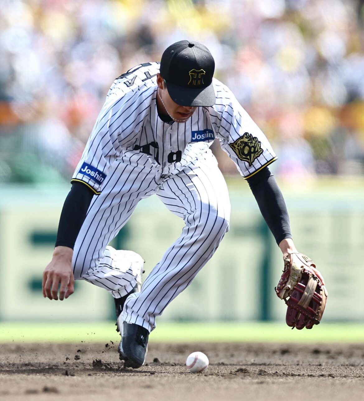 【虎になれ】藤川監督勝利もご機嫌ななめ?小幡竜平プロ初1試合2失策、正遊撃手でも精進続く(日刊スポーツ) – Yahoo!ニュース – Yahoo!ニュース 【虎になれ】藤川監督勝利もご機嫌ななめ?小幡竜平プロ初1試合2失策、正遊撃手でも精進続く(日刊スポーツ) - Yahoo!ニュース - Yahoo!ニュース