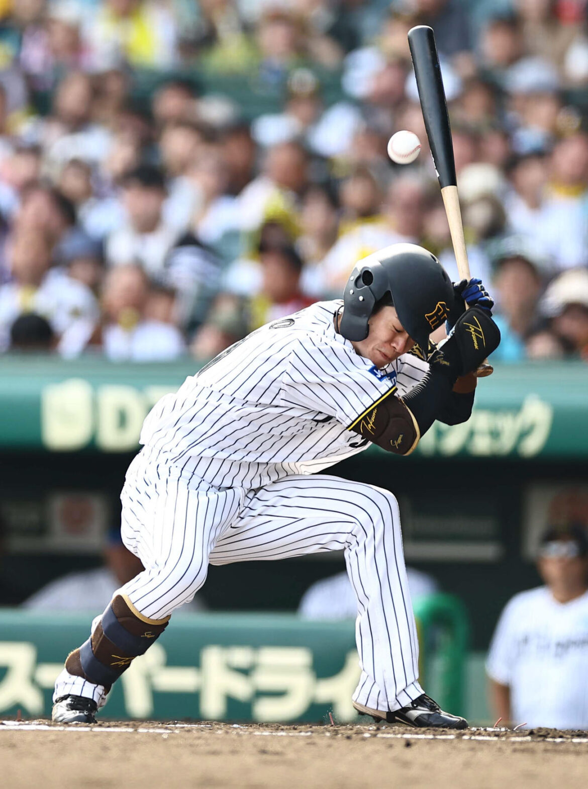 阪神対ソフトバンク　6回裏阪神1死、中野は頭部死球を受ける（撮影・上田博志）