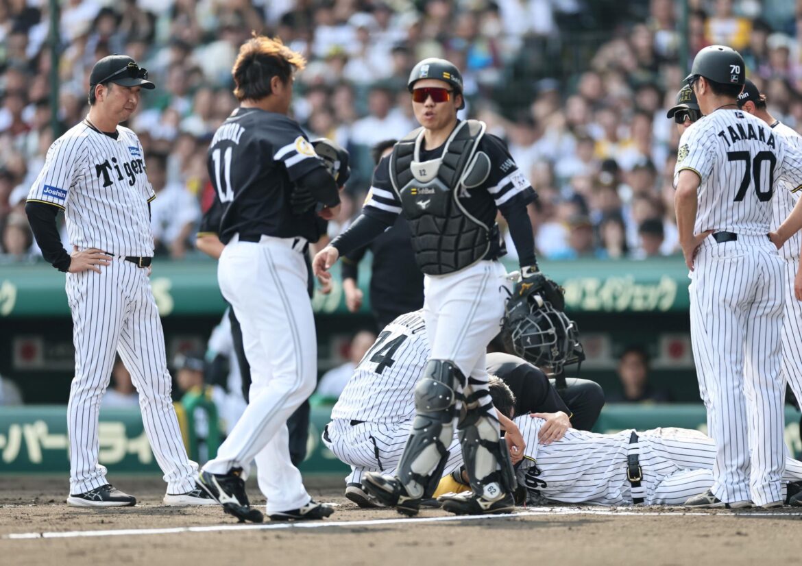 阪神 ふらつく中で中野拓夢が見せた優しさ ヘルメットにヒビの頭部死球で表情硬まる後輩に 左手を振った気遣いのワンシーン（デイリースポーツ） - Yahoo!ニュース - Yahoo!ニュース