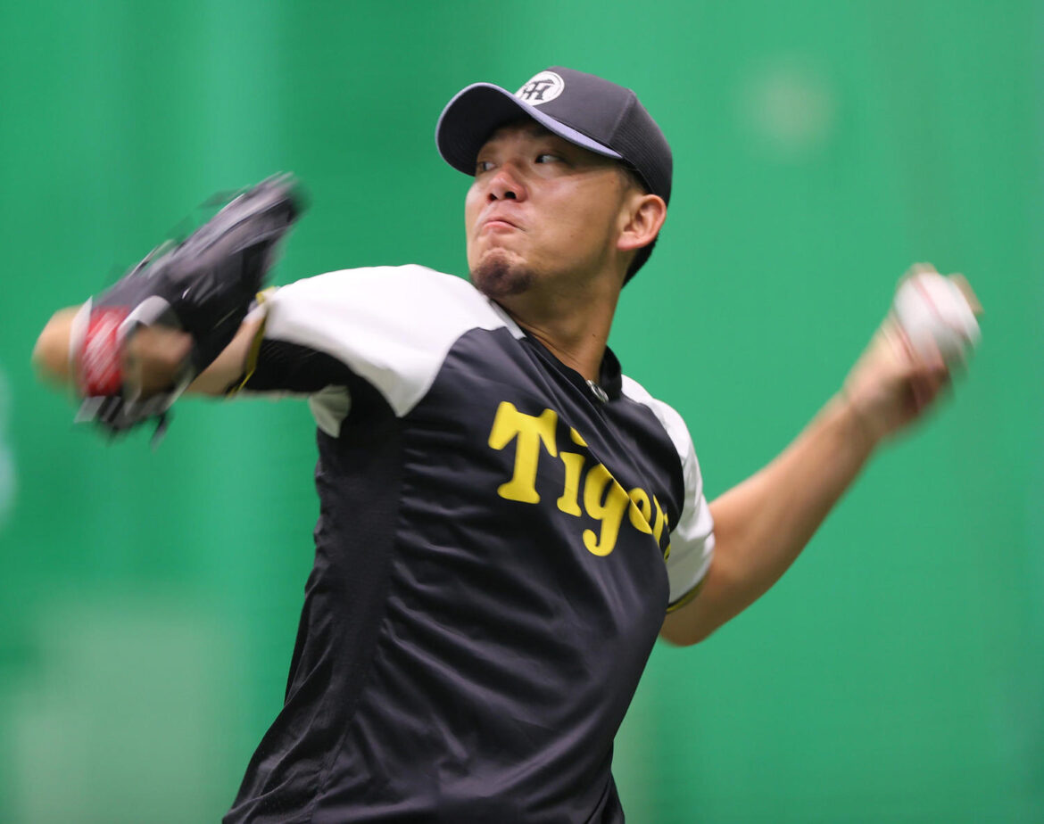 【阪神】伊藤将司、29日ヤクルト戦登板の見込み「ストレートがしっかり」リーグ戦再開後も生かす（日刊スポーツ） - Yahoo!ニュース - Yahoo!ニュース