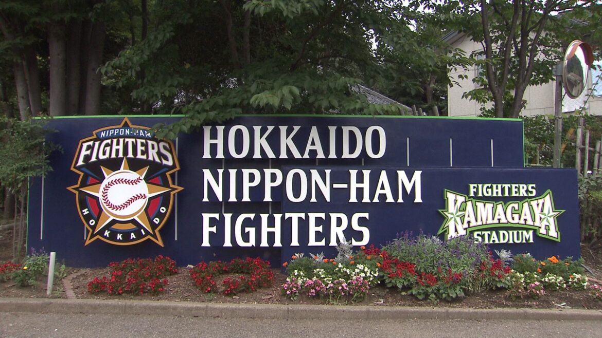 ＜ファイターズ“2軍本拠地”を北海道へ＞2030年ごろまでに「鎌スタ」から移転の方針固まる_誘致に向け江別・恵庭・千歳が始動_エスコンフィールドのような“ボールパーク”になる可能性も（FNNプライムオンライン） - Yahoo!ニュース - Yahoo!ニュース