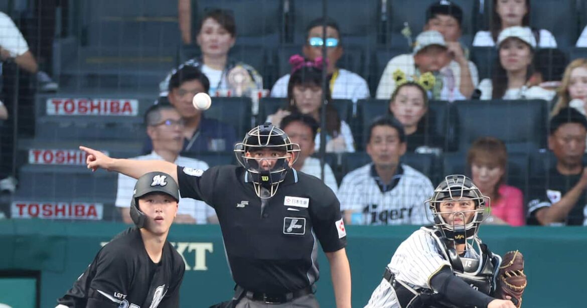 阪神・坂本、攻守で伊藤将を援護「ミーティングでも話が出ていたので準備していた」 – サンスポ 阪神・坂本、攻守で伊藤将を援護「ミーティングでも話が出ていたので準備していた」 - サンスポ
