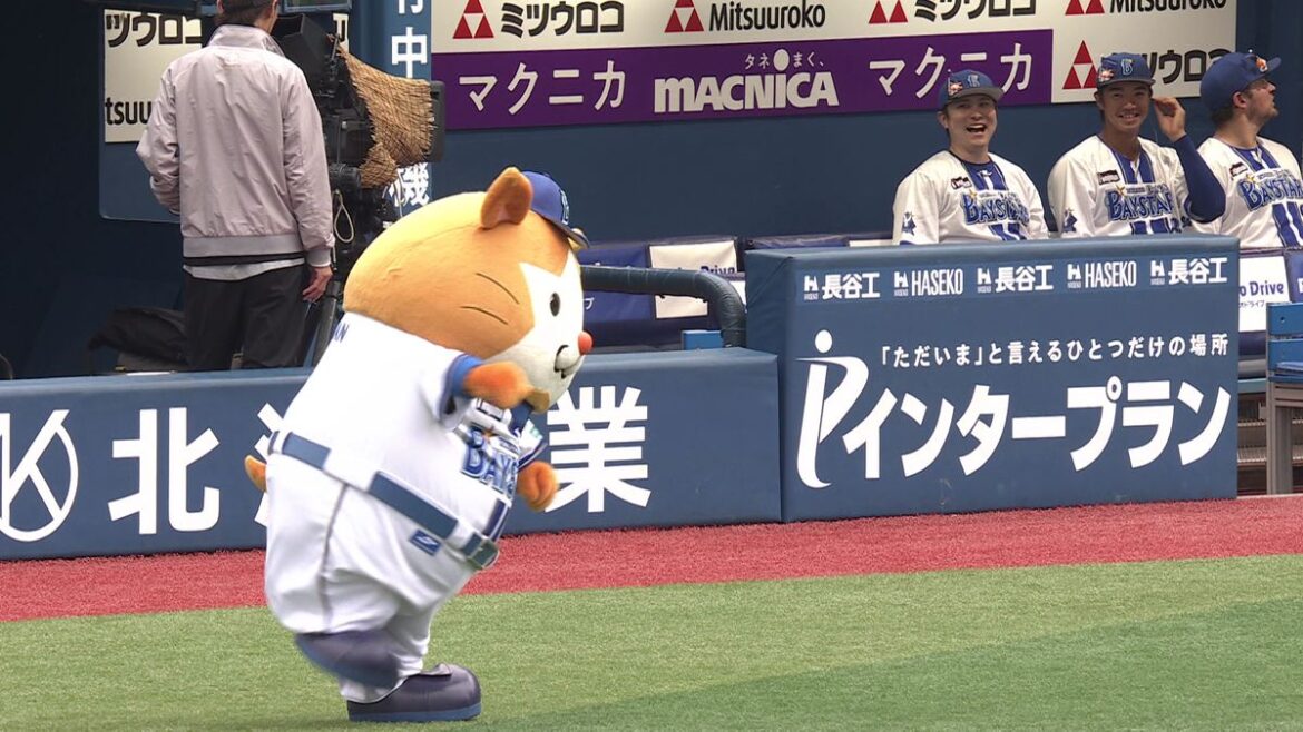 日本テレビ放送網