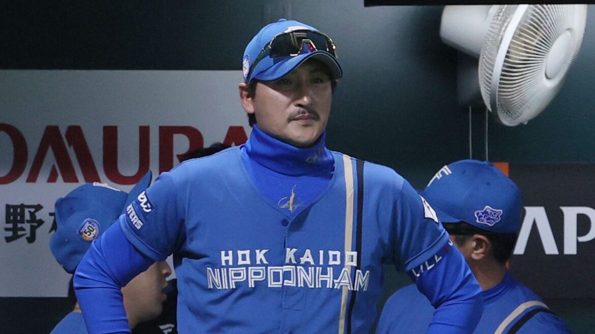 日本テレビ放送網