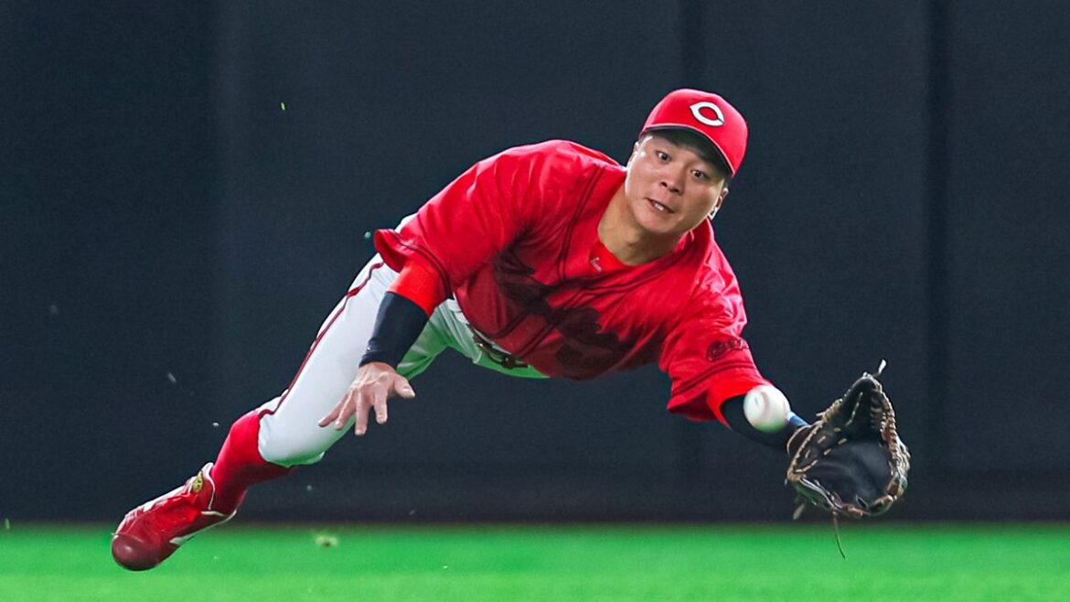 日本テレビ放送網