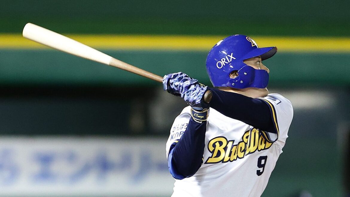 日本テレビ放送網