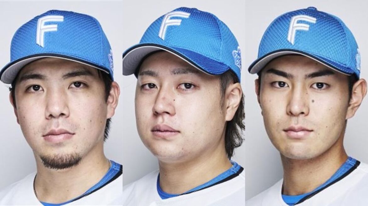 日本テレビ放送網