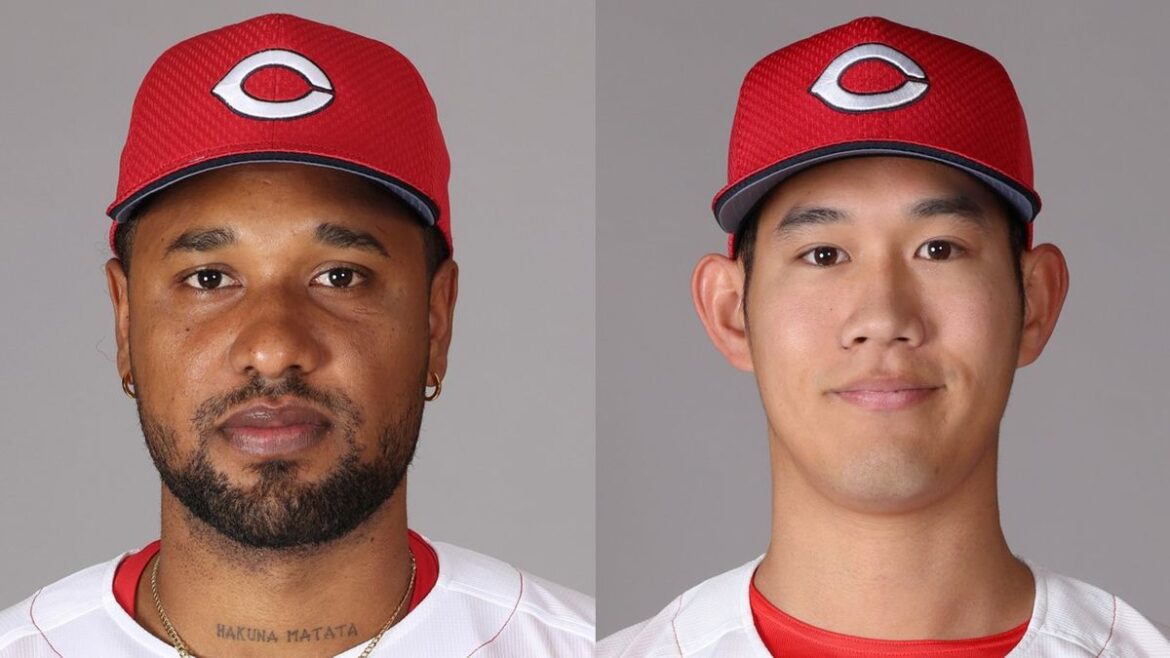 日本テレビ放送網