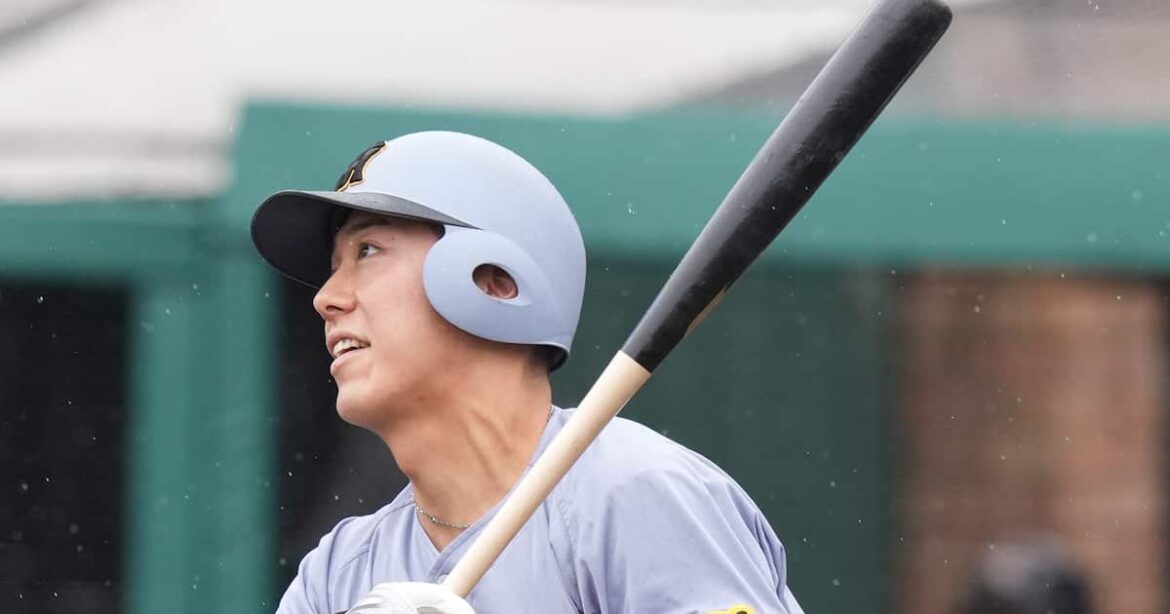 阪神・豊田寛の先制2点二塁打! 2戦連続スタメン起用に応える一打で打率・350に – サンスポ 阪神・豊田寛の先制2点二塁打! 2戦連続スタメン起用に応える一打で打率・350に - サンスポ