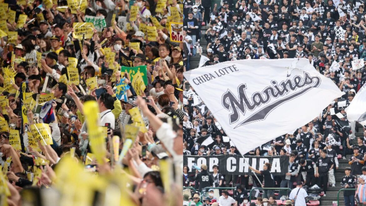 日本テレビ放送網