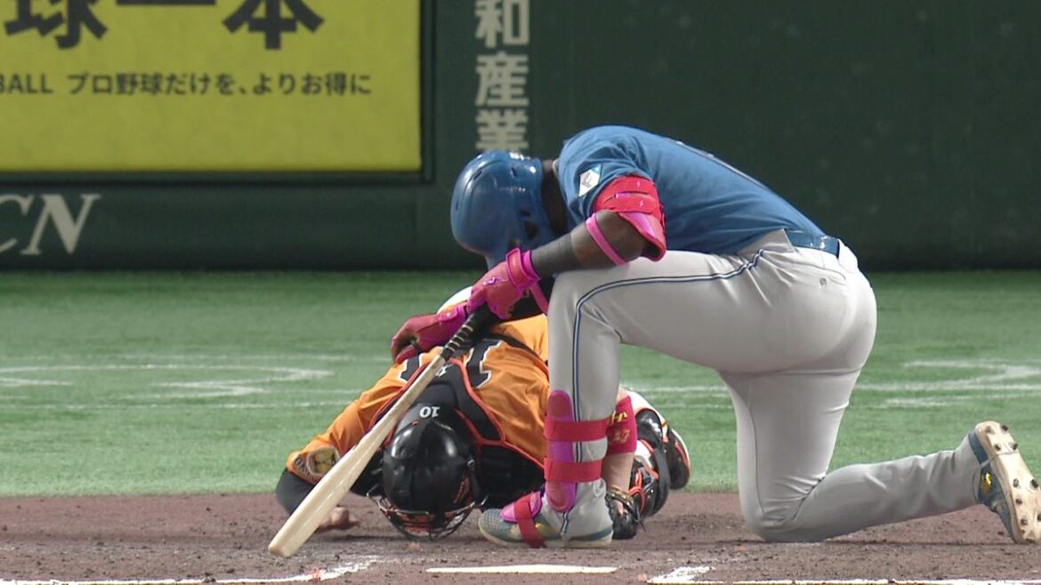 日本テレビ放送網