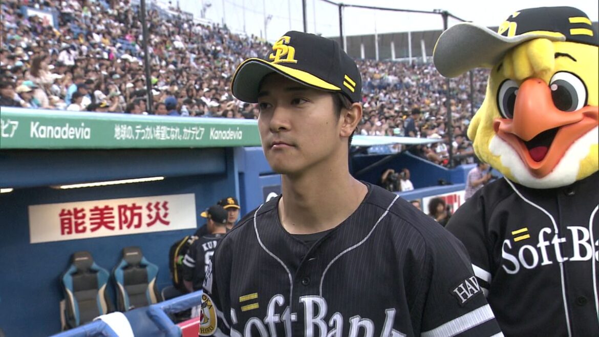 日本テレビ放送網