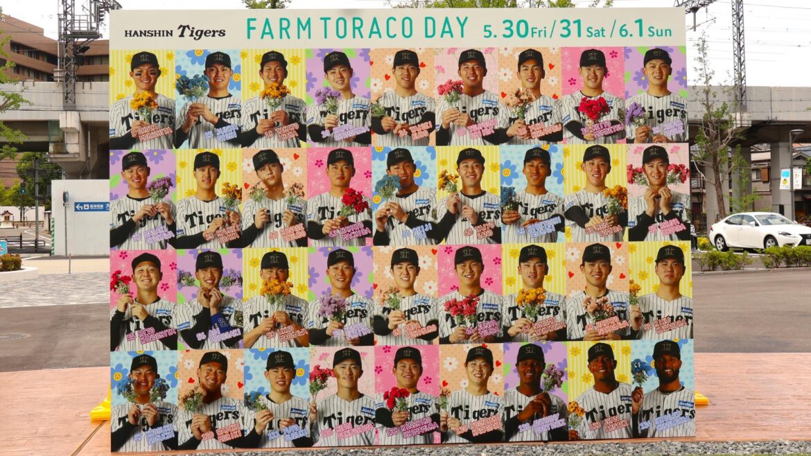 タイガースは若虎も大人気! 初のFARM TORACO DAY開催、来場者の女性比率はなんと55%(土井麻由実) – エキスパート タイガースは若虎も大人気! 初のFARM TORACO DAY開催、来場者の女性比率はなんと55%(土井麻由実) - エキスパート
