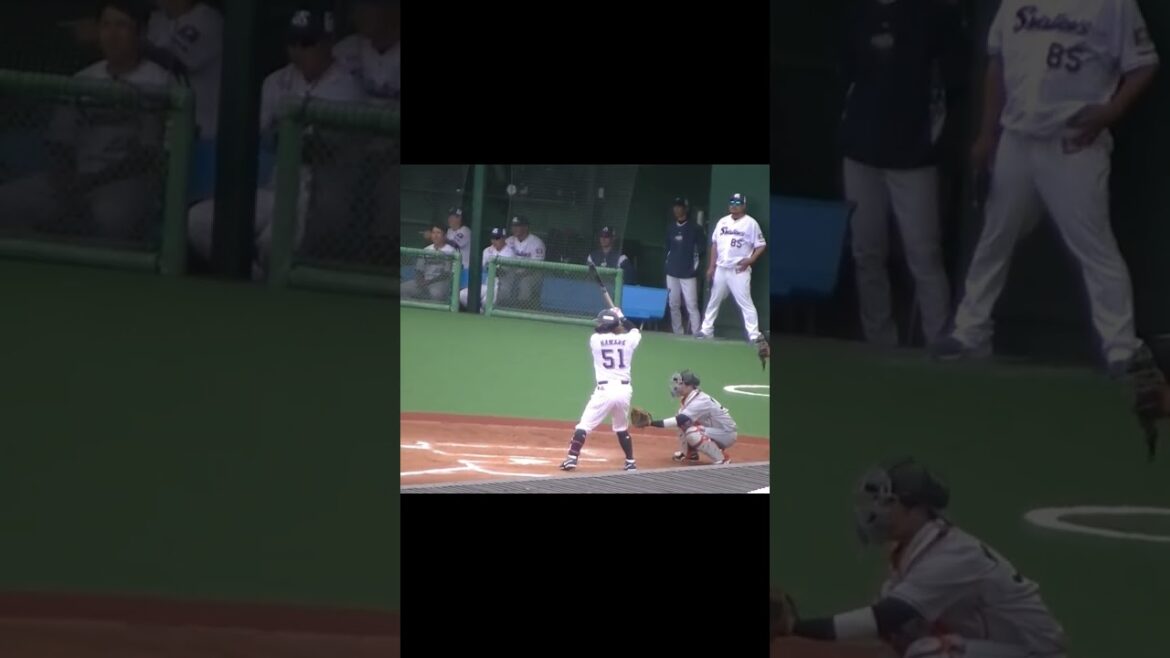 【スワローズ】濱田太貴のバッティングフォームとスイング＜2軍・ヤクルトスワローズ対 読売ジャイアンツ  2024年5月6日＞