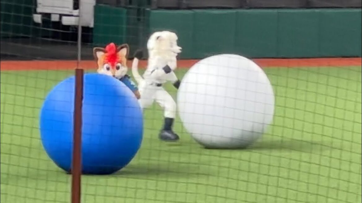 【レオvsフレップ】パフォーマー対抗大玉転がしは大まくりの劇的決着！【西武vs日本ハム】2025/6/28