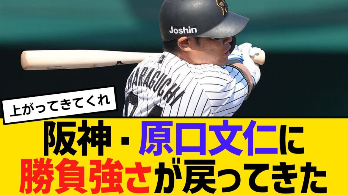 阪神・原口文仁に勝負強さが戻ってきた！直近7試合で打率・５００　【ネットの声】【野球】