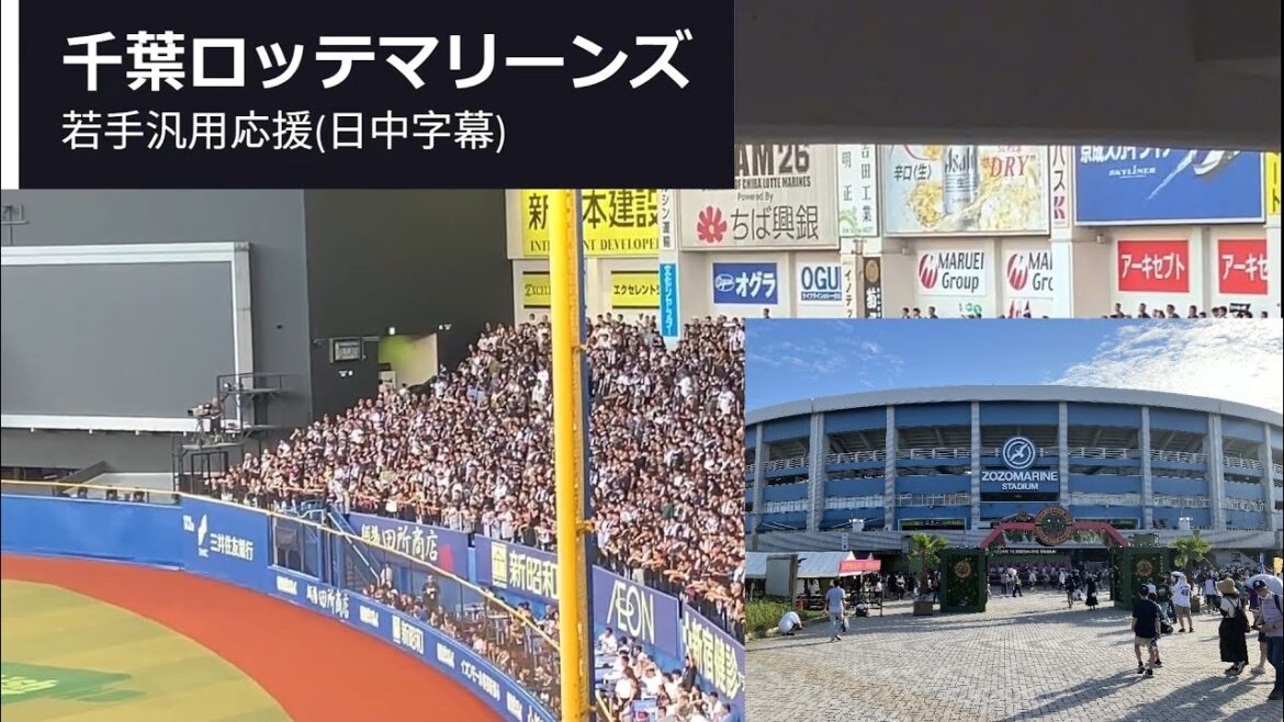 [野球応援] 千葉ロッテマーリンズ 若手汎用応援 20240812