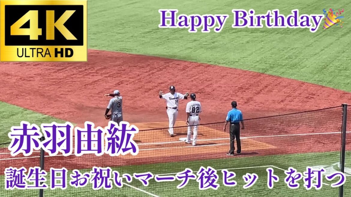 【Happy Birthday】 祝福パワーでヒットを放つ 赤羽由紘 誕生日にヒットを打つ 東京ヤクルトスワローズ 阪神タイガース 2025.6/29