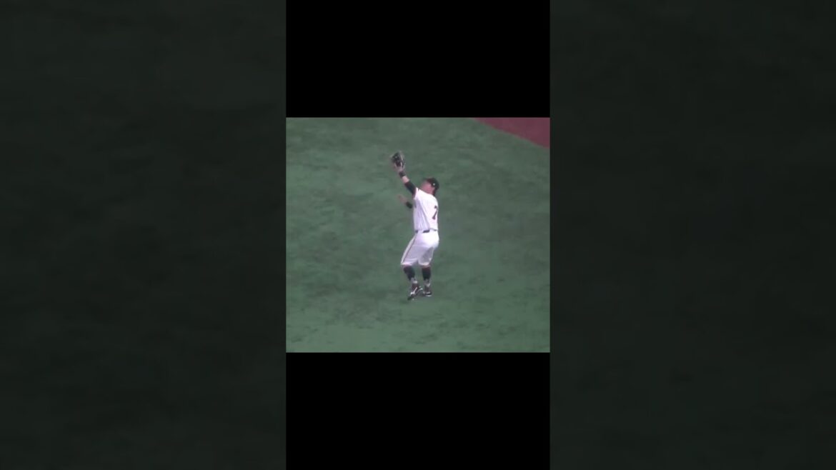 ライトフライ 長野久義の守備（ 読売ジャイアンツ 対 阪神タイガース 2024年8月13日）