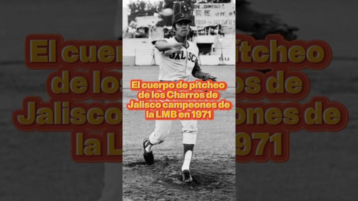 El staff imparable de los Charros campeones en 1971 ⚾🔥 #beisbolmexicano #beisbol El staff imparable de los Charros campeones en 1971 ⚾🔥 #beisbolmexicano #beisbol