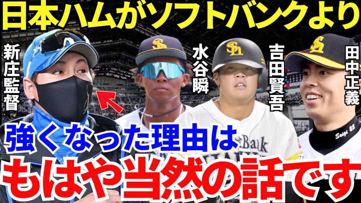 元ソフトバンク選手たち「日本ハムとソフトバンクは圧倒的に違う」田中正義&吉田賢吾&水谷瞬が日本ハムで躍動する理由が凄かった⋯！