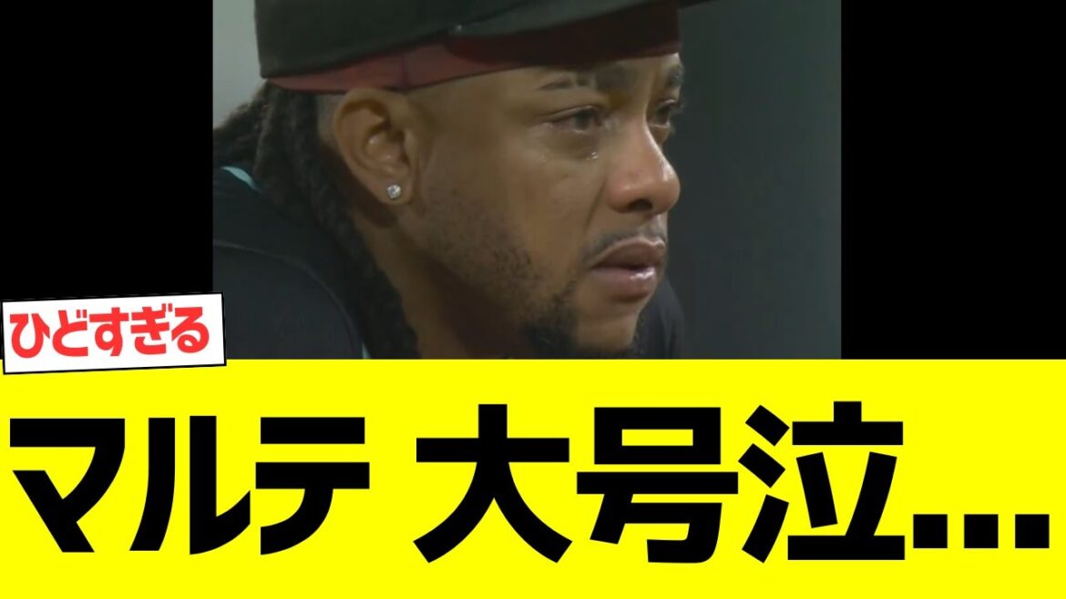 ダイヤモンドバックスマルテ、大号泣… ダイヤモンドバックスマルテ、大号泣...