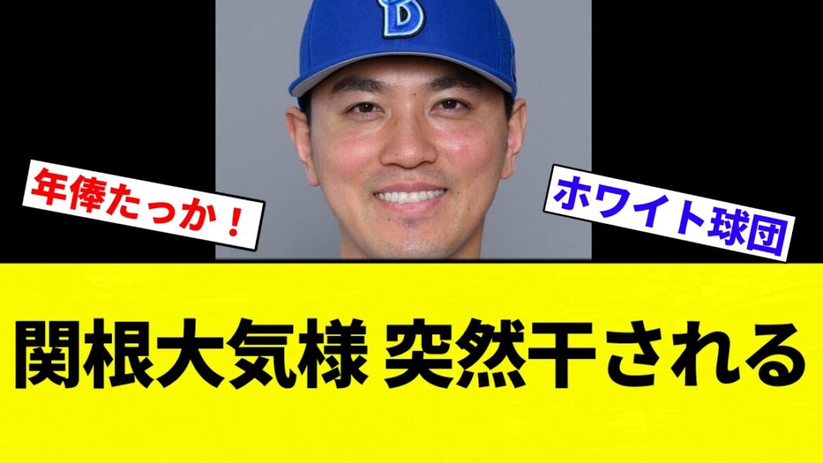 【関根様使えや！！！】DeNA関根大気外野手（30歳、年俸5350万円）、突然干される【プロ野球反応集】【2chスレ】【なんG】