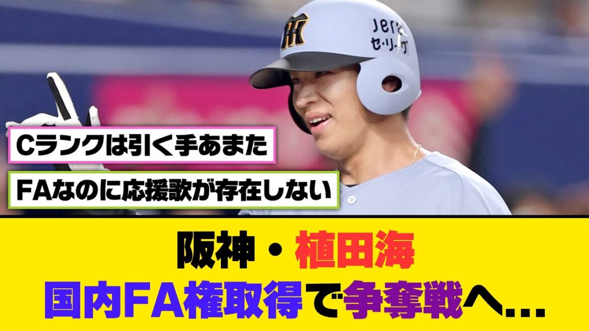 阪神・植田海、国内FA権取得で争奪戦へ【5ch/2ch】【なんj/なんg】【反応集】 阪神・植田海、国内FA権取得で争奪戦へ【5ch/2ch】【なんj/なんg】【反応集】