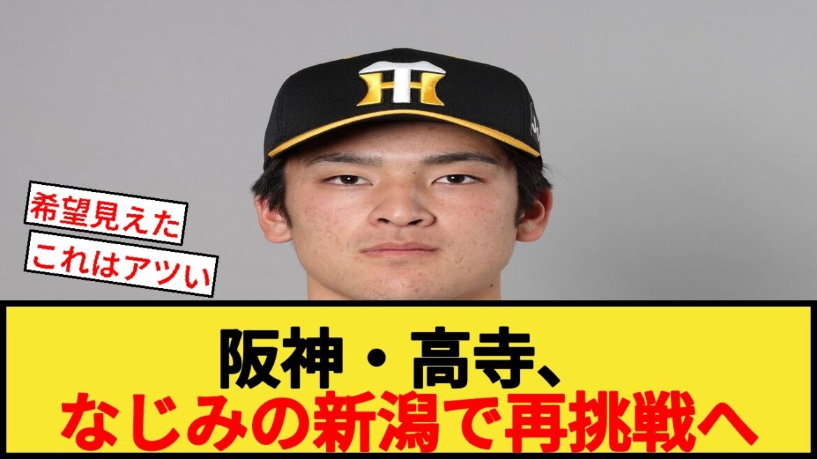 【希望】阪神・髙寺望夢・なじみの新潟で再挑戦へ 【希望】阪神・髙寺望夢・なじみの新潟で再挑戦へ