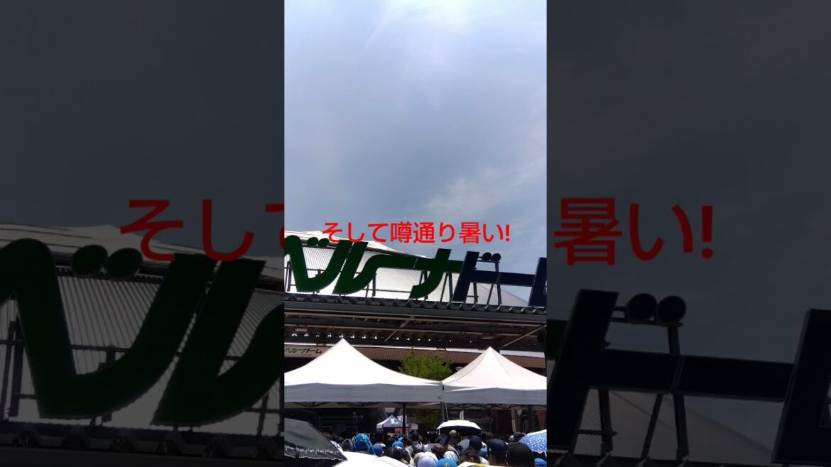 パ・リーグ公式戦　#野球　#北海道日本ハムファイターズ 　#埼玉西武ライオンズ